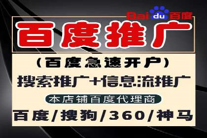 提升广告质量：SEM竞价员的成功案例分享